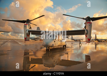 MV-22 Osprey Flugzeug auf der Marine Corps Air Station in Miramar CA Stockfoto