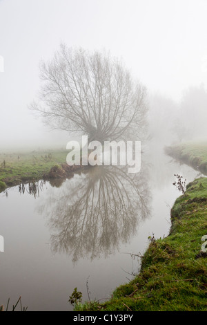 am frühen Morgennebel hängt über den Fluss Alne in der Nähe von großen Alne Warwickshire Stockfoto