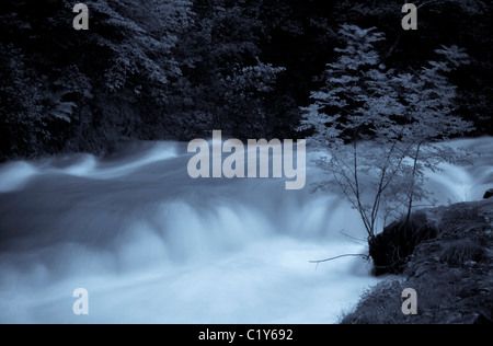 ein schneller fließender Fluss in Wales stürzt ein kleiner Baum auf der riverbank.blue image.landscape format.copy Raum getönten Vergangenheit Stockfoto