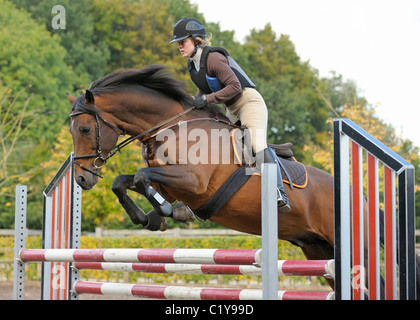 junge Frau Holstein Reitpferd Hürde springen Stockfoto