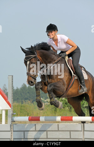 junge Frau auf bayerischen Warmblut Pferd springen Hürde Stockfoto