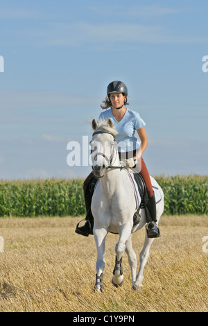 junge Frau auf bayerischen Warmblut Pferd Stockfoto