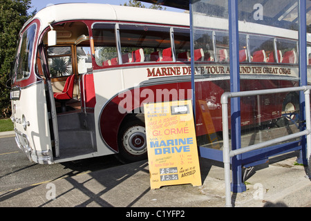 Die "Marine Drive" tour Bus führt Touristen um den Great Orme Kopf in Llandudno, Nordwales Stockfoto