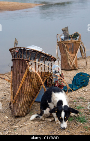 Pygmäen, Betou, Ubangi Fluß, Republik Kongo Stockfoto