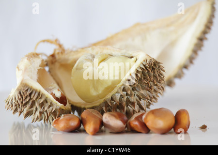 Durian Frucht mit Samen und Fruchtfleisch eröffnet Stockfoto