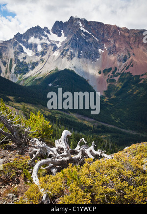 Azurit-Peak von Grasshopper Pass, Washington Kaskaden, USA gesehen. Stockfoto