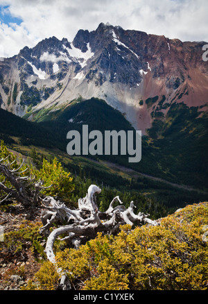 Azurit-Peak von Grasshopper Pass, Washington Kaskaden, USA gesehen. Stockfoto