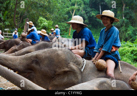 Mahouts sitzen auf ihren Elefanten im Chiang Dao Elephant Training Centre. Chiange Dao, Provinz Chiang Mai, THAILAND. Stockfoto