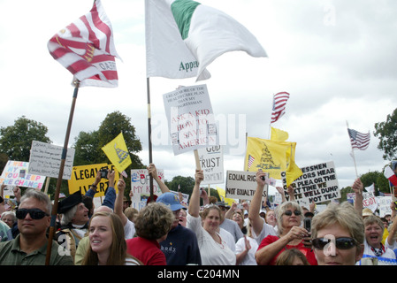 Tausende von Demonstranten teilgenommen in der Tea Party Express Rallye auf dem West-Rasen am Kapitol, Washington, DC, USA am Stockfoto