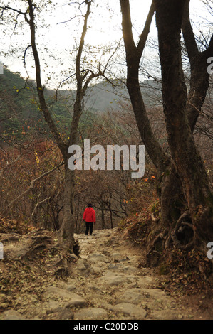 Mt. Mudeungsan Provincial Park Stockfoto