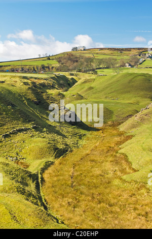 Kalksteinbruch außerhalb Frosterley, Quelle des "Frosterley Marmor", Weardale, County Durham, England verlassen Stockfoto