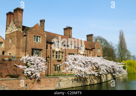 Magdalene College und den Fluss Cam im Frühjahr, Cambridge, England, UK Stockfoto