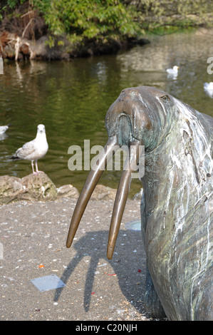 Wintergärten Sunderland Walross Stockfoto