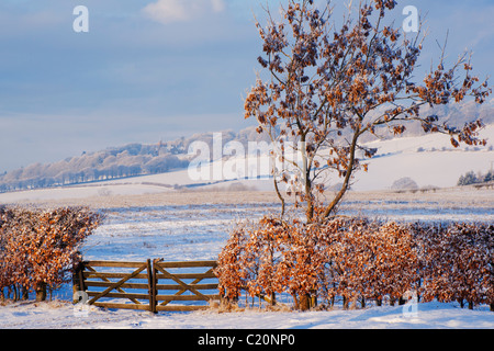 Blick über Felder in der Nähe von Linlithgow, Schottland, Dezember 2010 Stockfoto