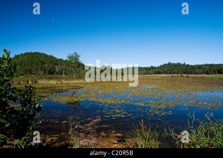 Kleinen unbewohnten See (Lac Noir) in der Gemeinde von Ste-Marie, QC, Kanada Stockfoto