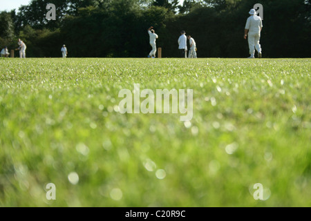 Perfekte Sommer englischen Dorf cricket Stockfoto