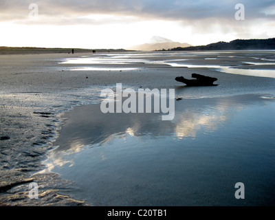 Am Strand von Downings Strand, mit Blick auf Errigal, Donegal, Irland Stockfoto