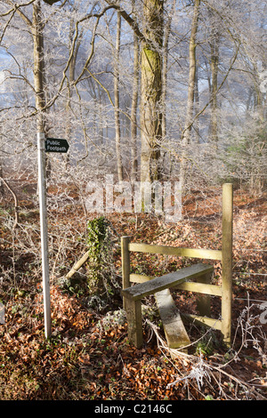 Raureif und Nebel im Winter auf einem Wanderweg in Maitlands Holz auf Scottsquar Hügel in den Cotswolds am Rand, Gloucestershire Stockfoto
