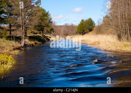 Kleiner Fluss im Wald mit blauem Wasser Stockfoto