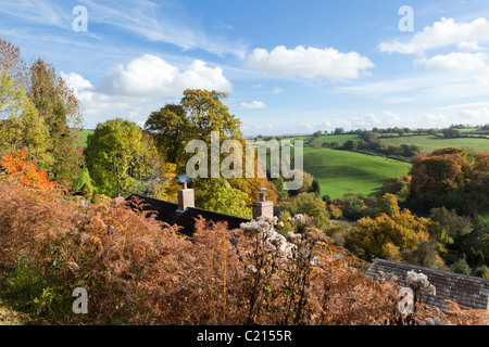 Herbst im Forest of Dean an zwei Brücken, südlich von niedrigeren Soudley, Gloucestershire, England, UK Stockfoto