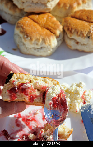 Scones mit Clotted Cream und Erdbeermarmelade. Stockfoto