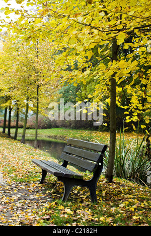 Bank und Kanal im Herbst park Stockfoto