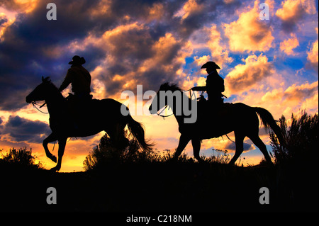 Zwei Streithähne Reitpferde bei Sonnenuntergang in Colorado Stockfoto