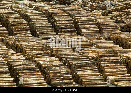 Holzpfähle im Hafen von Picton, Neuseeland Stockfoto