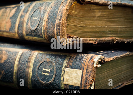 Zwei Bände Antik-Leder gebundene Bücher Stockfoto