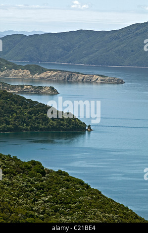 Land der Zunge in Marlborough Sound, Neuseeland Stockfoto