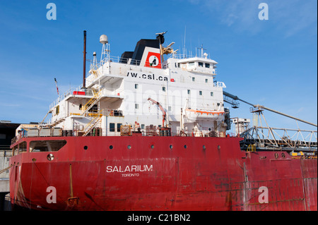 Frachtschiff Salarium, verankert in den Hafen von Montreal, Quebec, Kanada Stockfoto