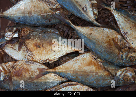 Flussfisch zum Verkauf auf einem Markt in Togo, Westafrika. Stockfoto