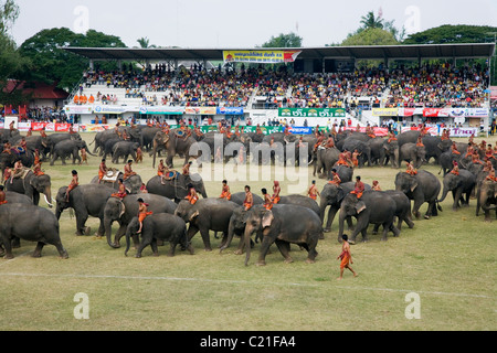 Eine Herde Elefanten und ihre Mahouts Suai (Master), während das Elephant Roundup-Festival.  Surin, Thailand Stockfoto