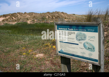 Natterjack Kröte-Zeichen neben einer Düne locker im Ainsdale Dunes National Nature Reserve, Sefton Küste, UK Stockfoto