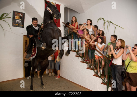 Ein Caixer Fahrer erhebt innerhalb eines Hauses in Ciutadella während der Festa de Sant Joan auf der Insel Menorca, Spanien Stockfoto