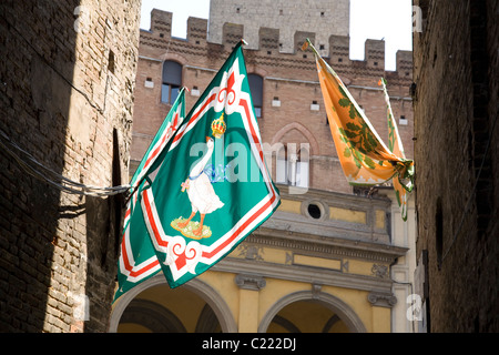 Die grüne Fahne der Contrada Oca (Gans Nachbarschaft) fängt die Sonne an einer Straßenecke in Siena, Toskana, Italien Stockfoto