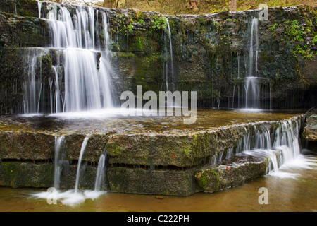 Wasserfall auf dem Fluss Nidd nahe Lofthouse Nidderdale Yorkshire Stockfoto