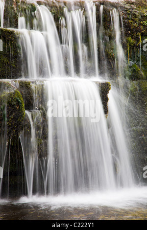 Wasserfall auf dem Fluss Nidd nahe Lofthouse Nidderdale Yorkshire Stockfoto