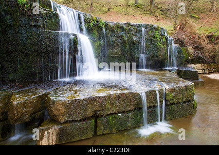 Wasserfall auf dem Fluss Nidd nahe Lofthouse Nidderdale Yorkshire Stockfoto