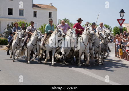 Gardians auf Camargue-Pferde Herde Stiere durch die Hauptstraße an einem Pferdefest in Saintes-Maries-de-la-Mer, Provence, Frankreich Stockfoto