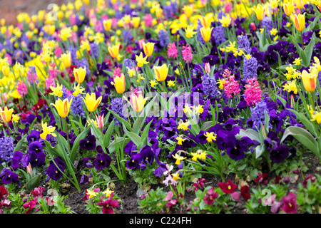 Garten Blumenbeet in der Dingle, einem öffentlichen Garten in Shrewsbury, Shropshire, England. Stockfoto