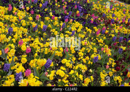 Garten Blumenbeet in der Dingle, einem öffentlichen Garten in Shrewsbury, Shropshire, England. Stockfoto