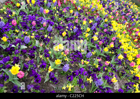 Garten Blumenbeet in der Dingle, einem öffentlichen Garten in Shrewsbury, Shropshire, England. Stockfoto