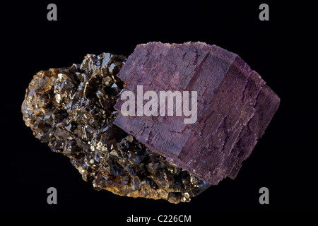 Fluorit (CaF2) (Calciumfluorid) auf Sphalerit (ZnS) (Zinksulfid) - Elmwood Mine - Smith County - Tennessee-USA Stockfoto
