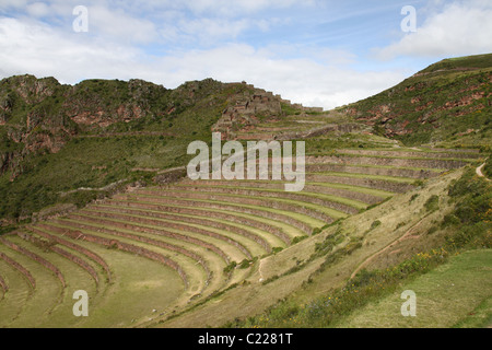 Terrassenförmig angelegten Landwirtschaft in Pisac Ruinen in der Umgebung von Cusco in Peru Stockfoto