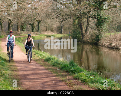 Paar, Radfahren entlang der Grand Western Canal, Tiverton, Devon, UK Stockfoto