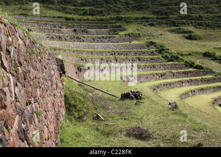 Pisac Inka Ruinen im Heiligen Tal, Peru Stockfoto