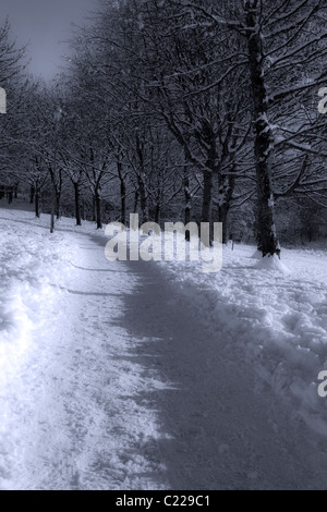 DIGITAL VERÄNDERTEN BILD EINES PFADES ZWISCHEN DEN BÄUMEN IM SCHNEE. Stockfoto