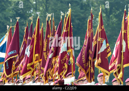 alten Lote sterben nie, dass nur verblassen Stockfoto