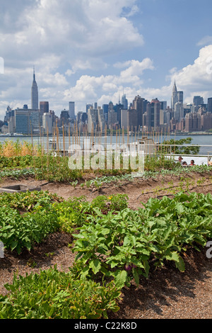 Eagle Street auf dem Dach Bauernhof ist ein 6.000 qm auf dem Dach urban in Greenpoint, Brooklyn Stockfoto